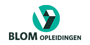 BLOM logo